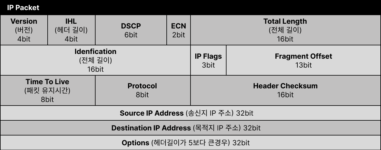 IP 패킷 구조